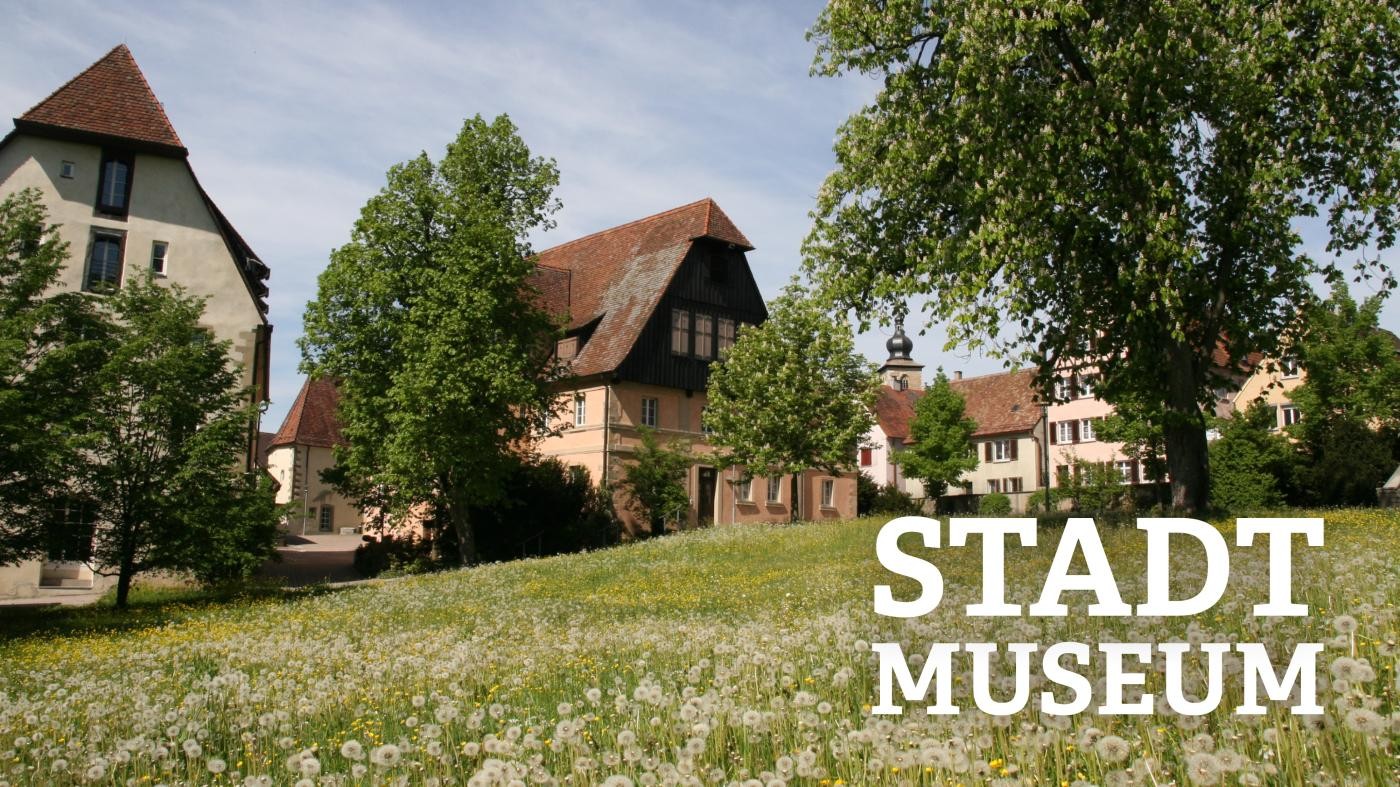 Blick auf eine grüne Wiese und das Gebäude des Stadtmuseums