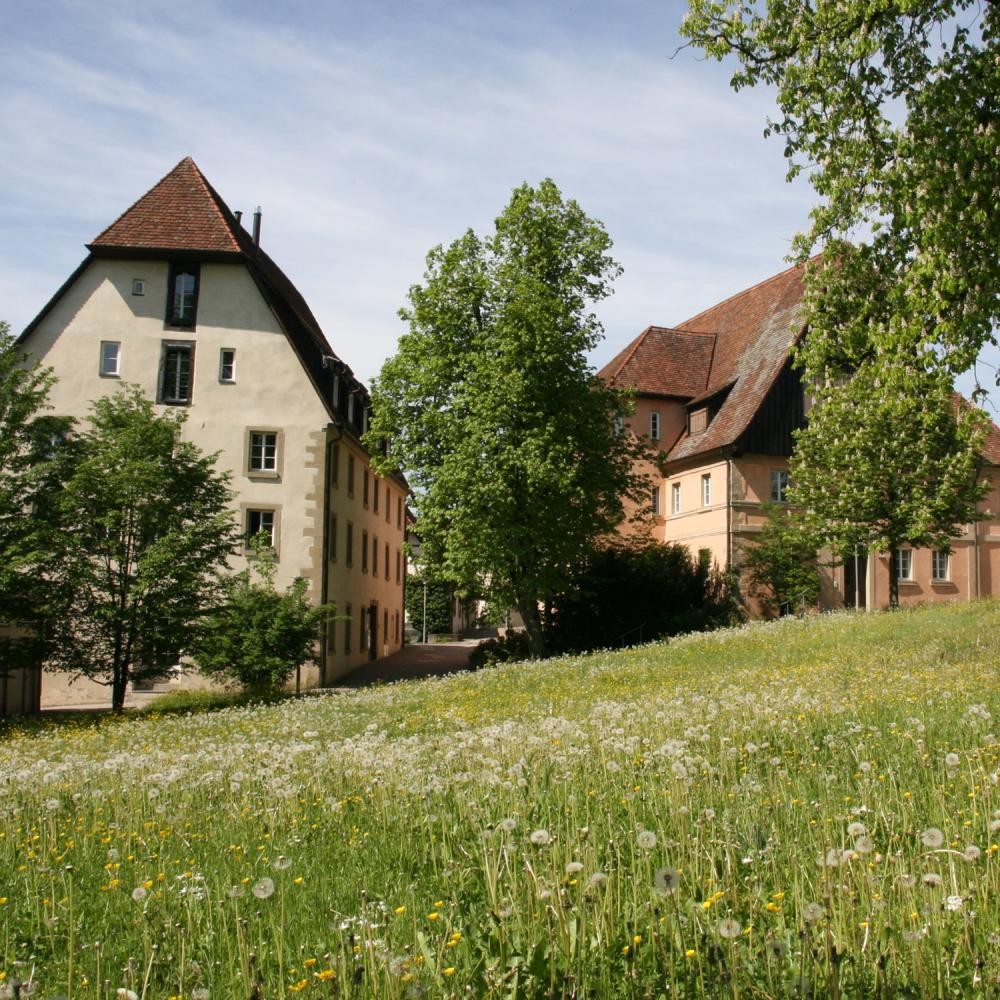 Zu sehen ist eine Wiese sowie das Gebäude des Stadtmuseums