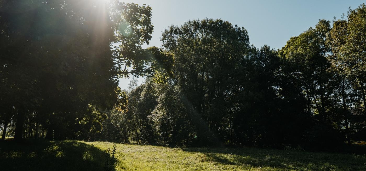 Blick bei strahlendem Sonnenschein auf den Spitalpark