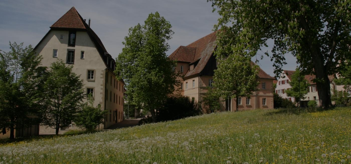 Blick auf das Stadtmuseum im Spital, im Vordergrund sind eine blühende Wiese sowie eine Linde zu sehen.